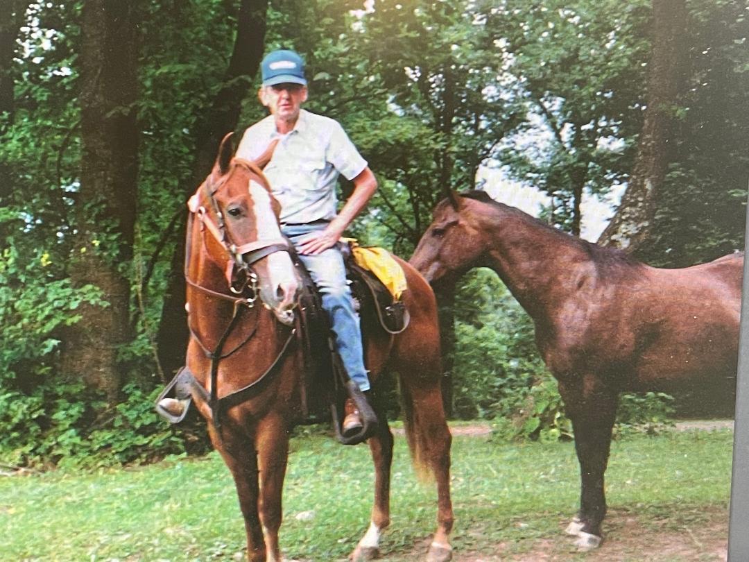 An elderly man wearing a blue cap sits on a brown horse in a lush green forest setting, with another brown horse grazing nearby. The image captures a tranquil moment of horseback riding in nature.
