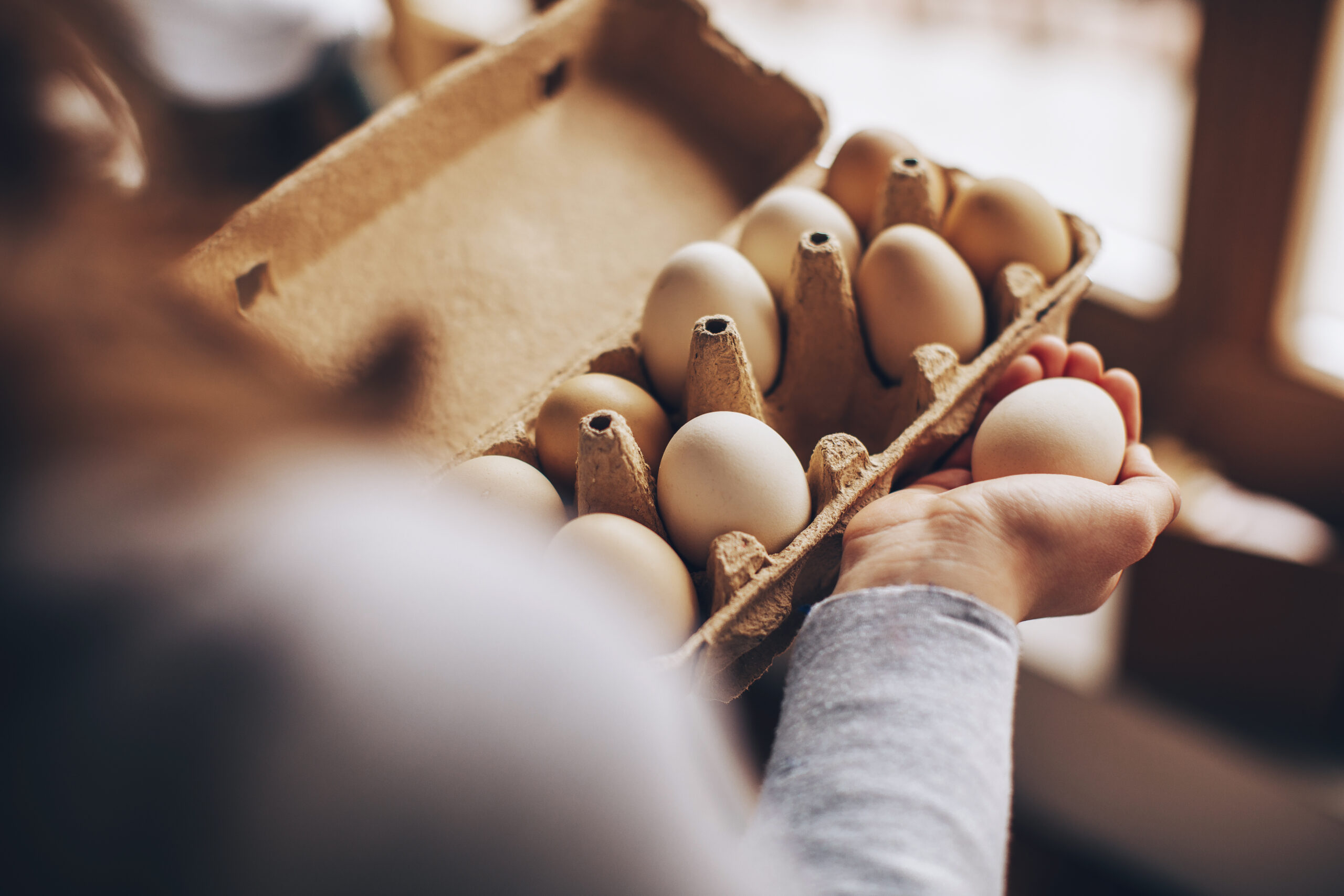 Easter eggs. Person holding a single egg while examining a carton filled with multiple eggs, showcasing fresh and organic produce in a cozy kitchen setting.